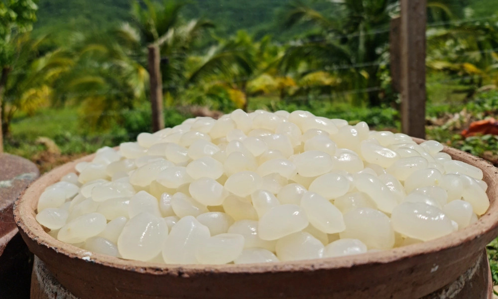 alt text: Hạt đác trắng đục, giòn dai