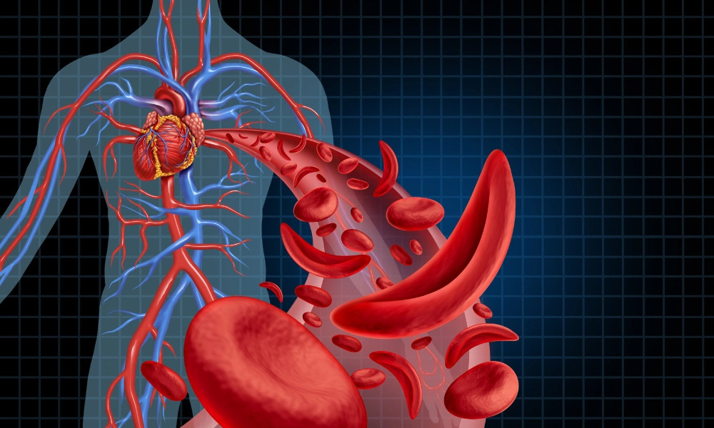alt text: Hình ảnh hạt đác và trái tim khỏe mạnh