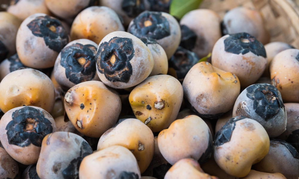 alt text: Hình ảnh quả đác tươi trên cây