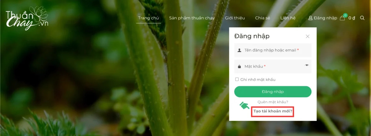 Click vào "Tạo tài khoản mới"