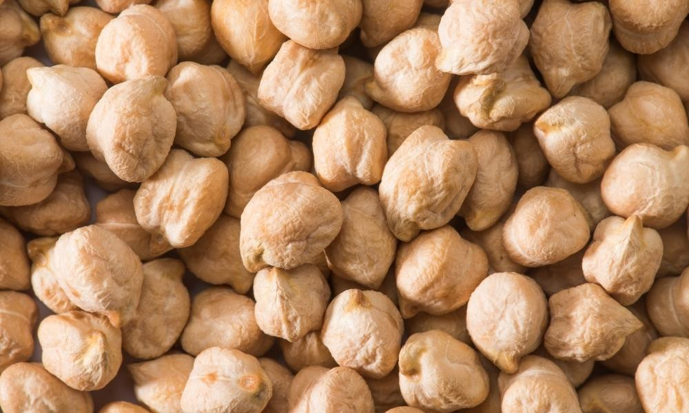 Đậu gà giàu protein thực vật