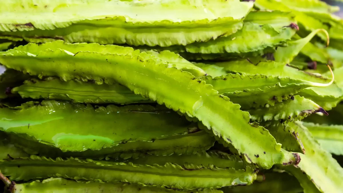 Đậu rồng chưa là loại đậu giàu canxi nhất trong các loại, ngoài ra còn bổ sung nhiều chất dinh dưỡng khác