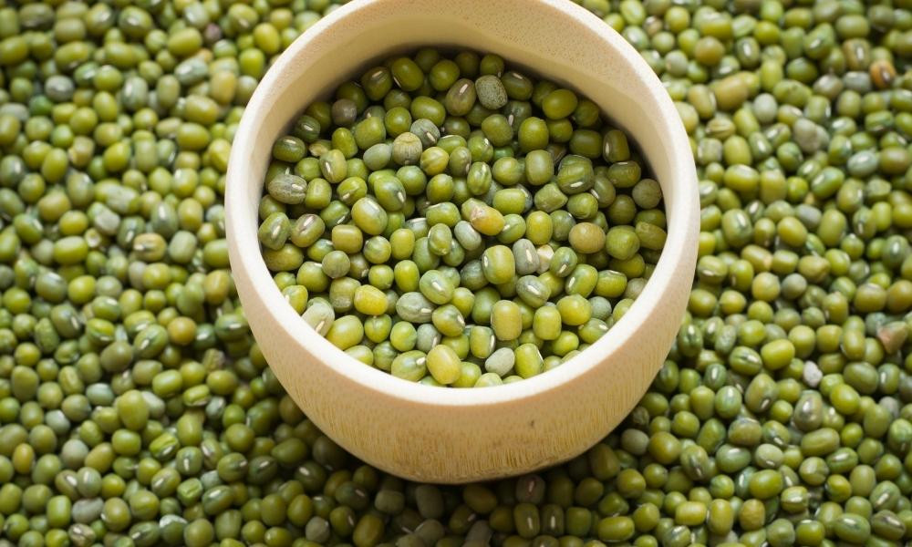 Đậu xanh giàu vitamin C