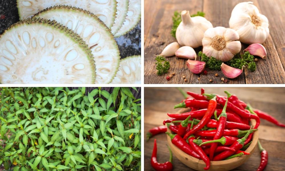 Mít non kho chay thơm ngon hấp dẫn