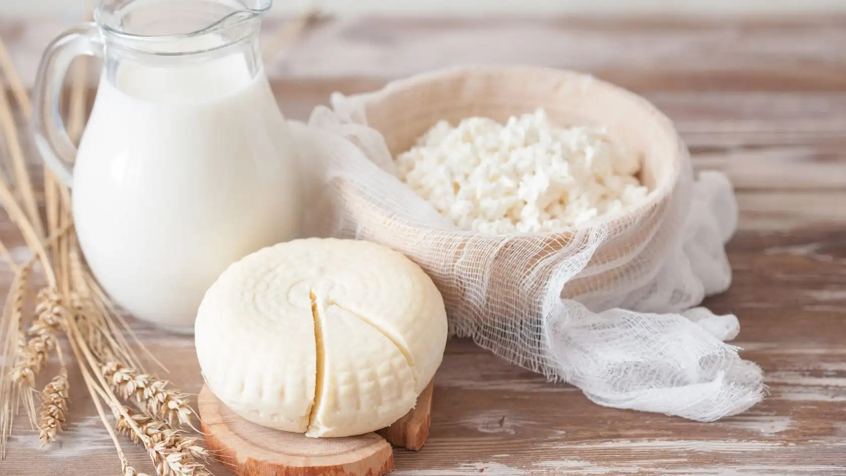 Sữa lúa mạch rất giàu dinh dưỡng