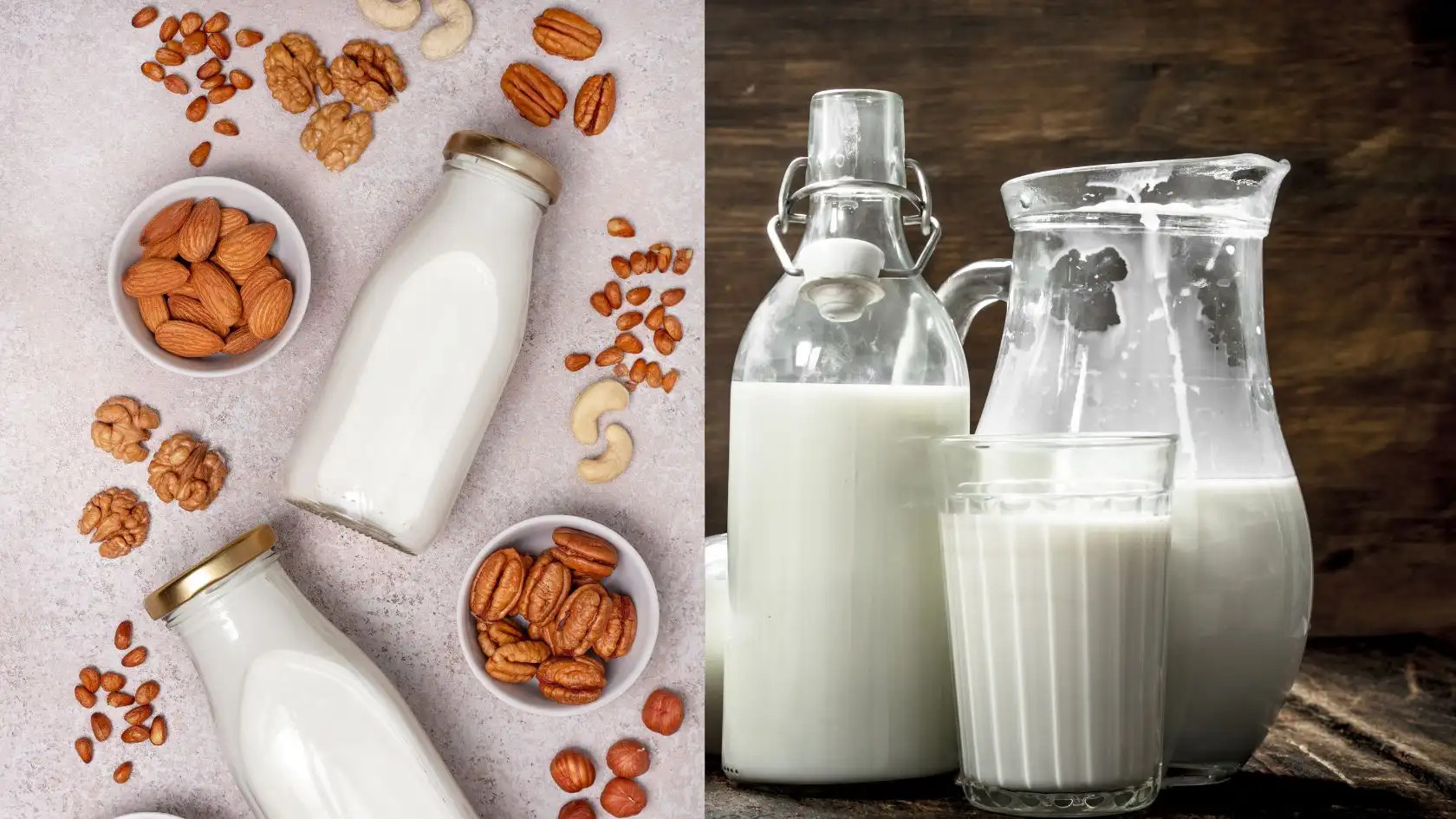 Trên đây là bảng so sánh 2 loại sữa